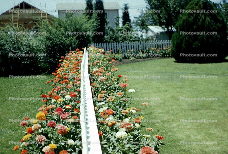 Divided Garden, Flowers, Backyards, Picket Fence, lawn