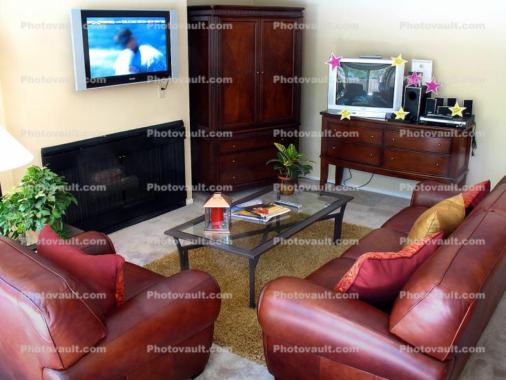 Flat Screen TV, Fireplace, Sofa, Coffee Table, Plants, Rug