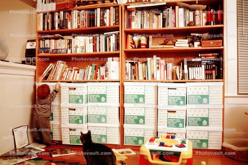 Books, Bookcase, Library, Cat
