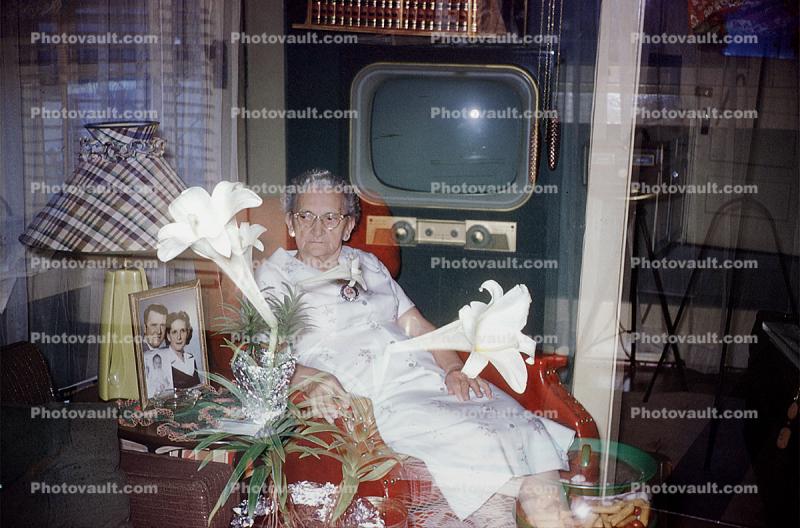 Television, grandma, granmother, flower, 1950s