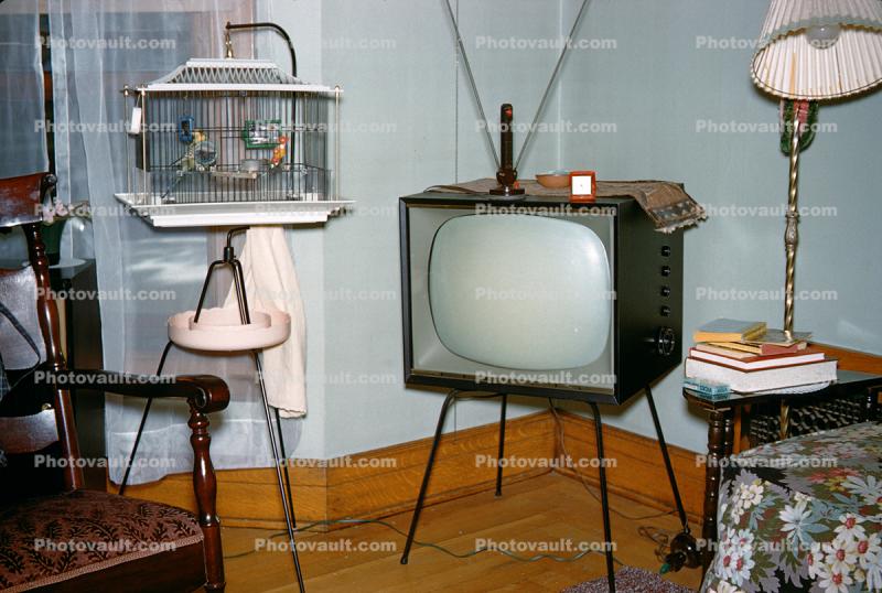 Television, Bird Cage