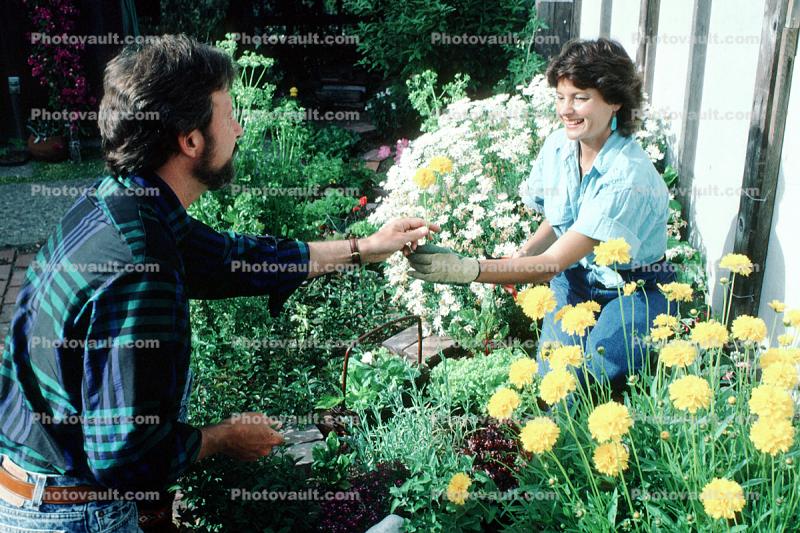 Couple working in the garden, Woman, Man
