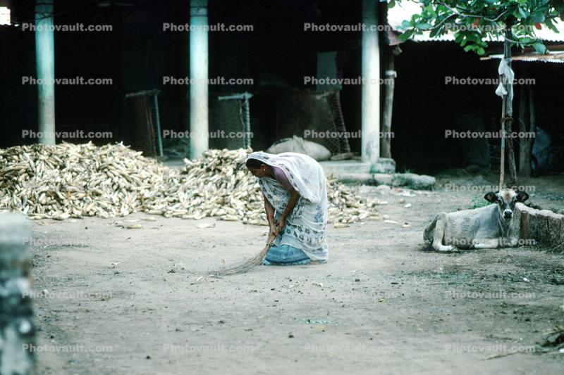 Woman Sweeping, India