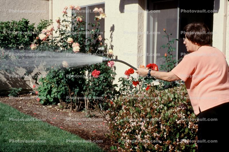 Woman watering the lawn