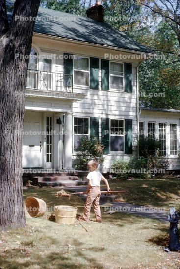 Boy raking leaves, home, house