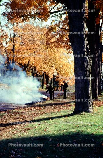 burning brush, trees, bucolic, autumn