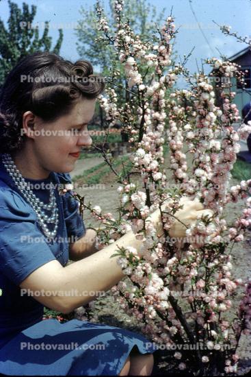 Woman, Rose Garden, 1940s