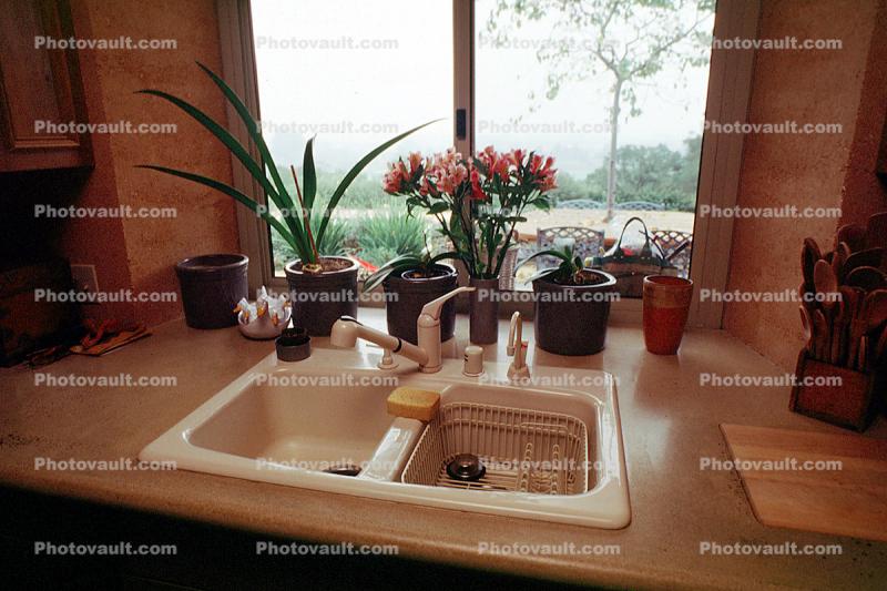 kitchen sink, faucet, flowers, plants