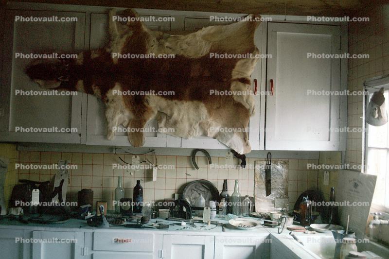 messy kitchen, animal rug