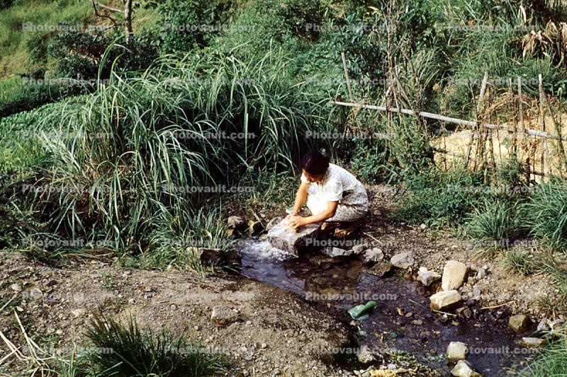 Woman Washing Clothes in a Stream, April 1952, 1950s