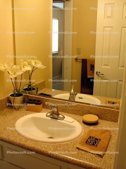 Sink, Mirror, Faucet, Tower, Flower