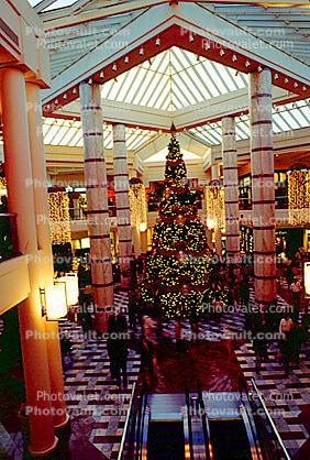 escalator, Shopping Center, Tree, Mall, interior, inside, indoors, tree