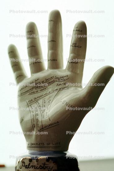 hand, palm reader