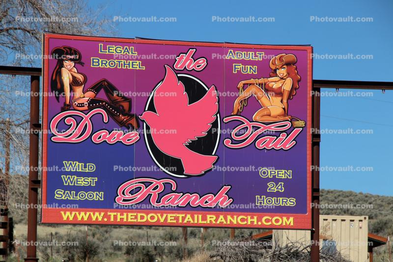 Dove Tail Ranch