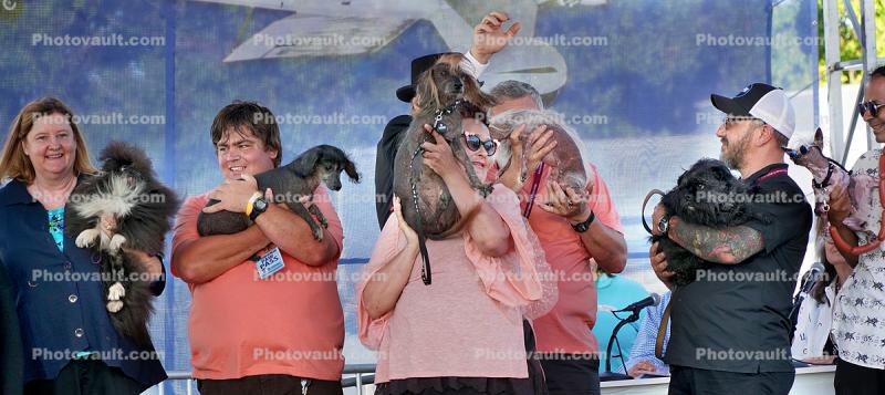Lineup of Dogs, World's Ugliest Dog Contest, Sonoma-Marin Fair, 21/06/2019