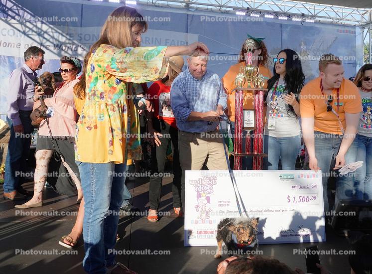 1st Place Dog, Check, Trophy, World's Ugliest Dog Contest, Sonoma-Marin Fair, 21/06/2019