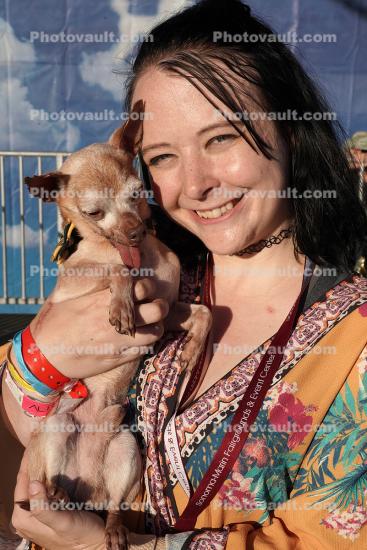 Tostitio, 3rd Place Winner, World's Ugliest Dog Contest, Sonoma-Marin Fair, 21/06/2019