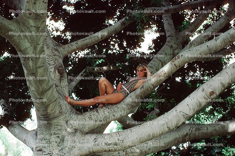 Girl in a Tree, Branches, Swimsuit, 1950s