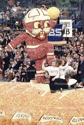 Oregon State Beaver, Football, Rose Parade, 1950, 1950s