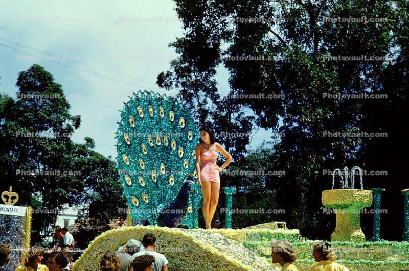 Peacock, Miss Universe Parade, Long Beach, California, July 1955, 1950s
