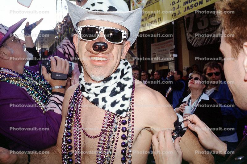 Mardi Gras, dog, sunglasses, Carnival, French Quarter
