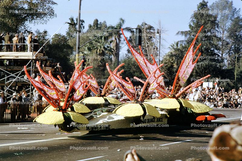 Butterflies, Summertime Orange Juice, Rose Parade, January 1961, 1960s