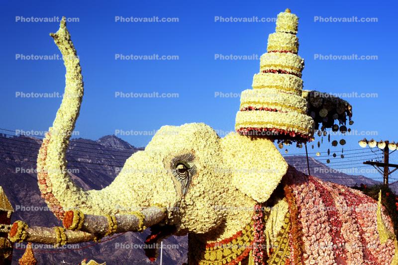 Elephant, Trunk, Rose Parade, Pasadena, 1960s