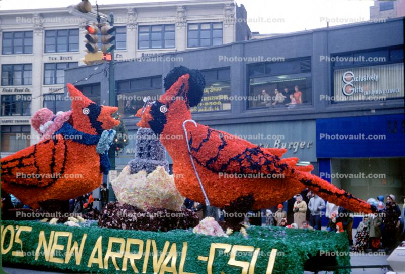 Two Red Cardinal Birds Float, Cleveland Christmas Parade, 1950s