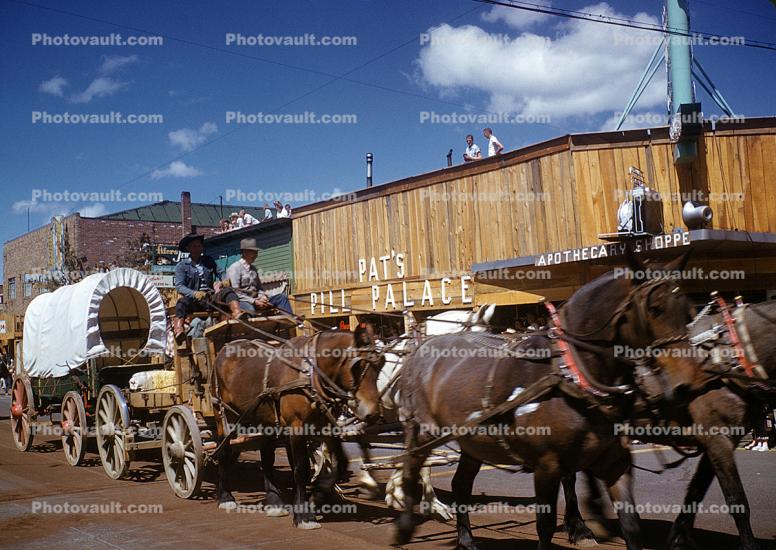 Conestoga Wagon, Horses, Pat's Pill Palace, Redmond, Kings County, 1950s