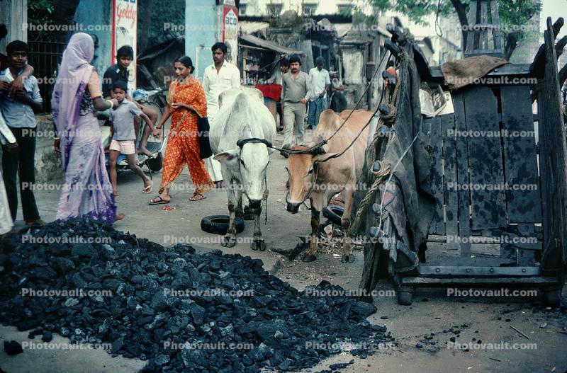Coal Delivery, Women, Saree, Mumbai