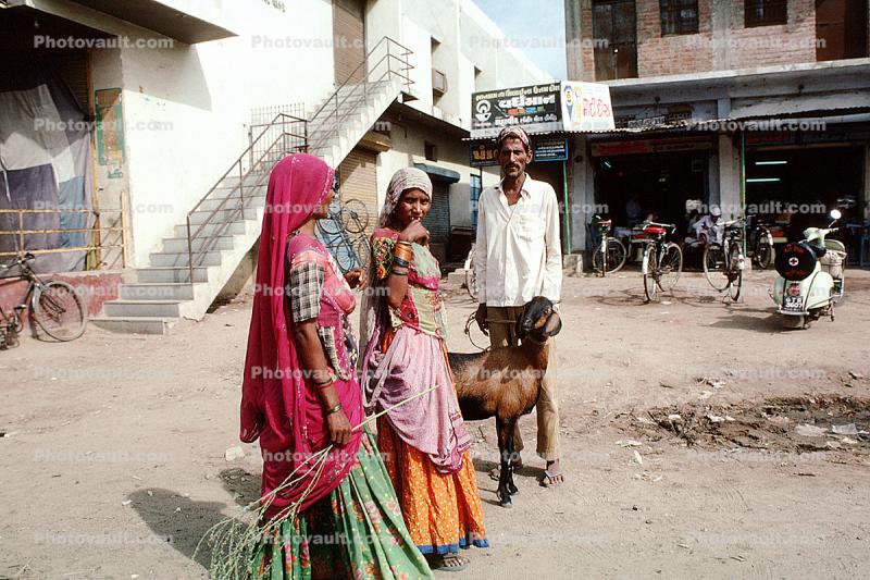 Goat, Women, Man, Ahmadabad