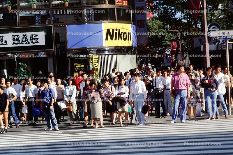 Crosswalk, Nikon, Ginza District, Tokyo, Nikon