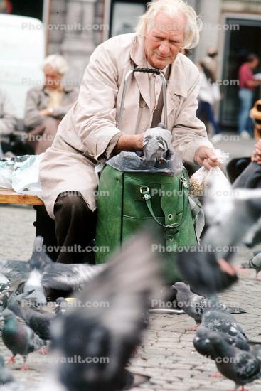 Man with Pigeons, Amsterdam, Holland