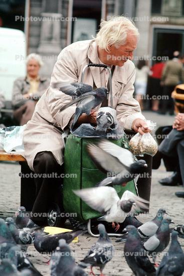 Man and Pigeons, Amsterdam, Holland