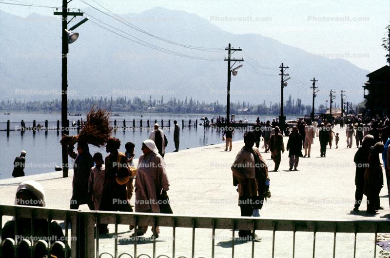 Lake, Waterfront, Kashmir, India