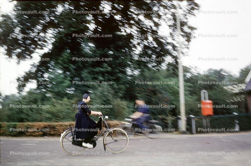 Trees, Groninger, Netherlands, September 1959, 1950s
