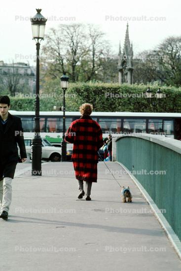Woman walking her dog, sidewalk, female, lady