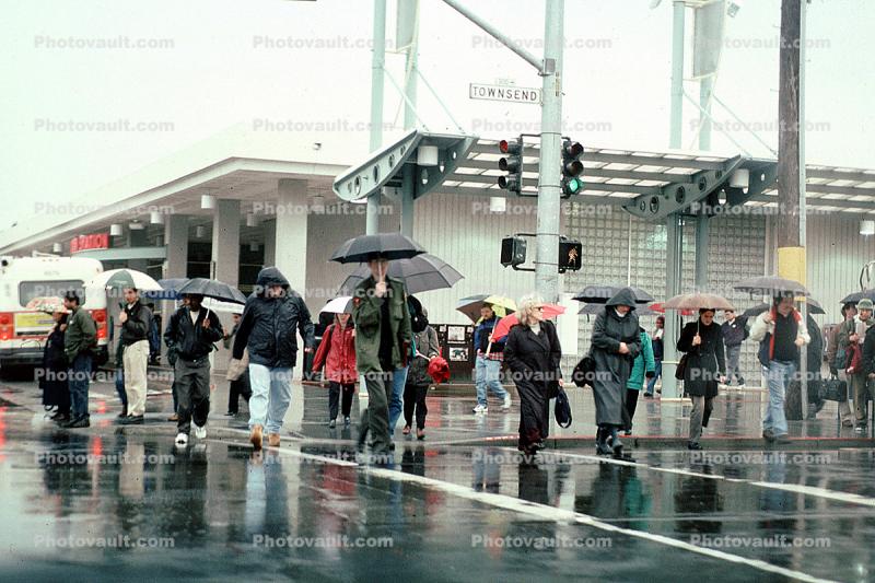Fourth Street Caltrain Station, umbrellas, crowds, crosswalk, rain, rainy