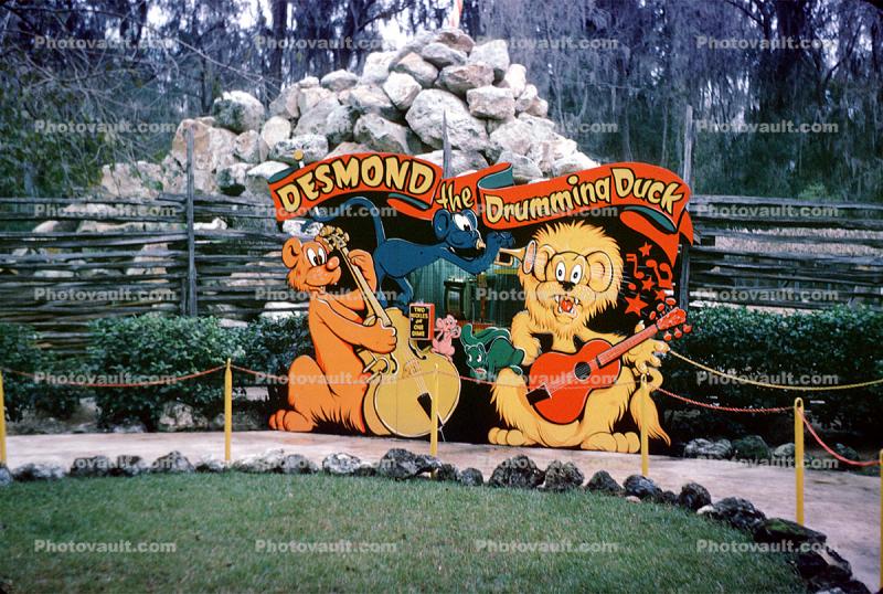 Desmond the Drumming Duck, Tommy Bartlett's Deer Ranch
