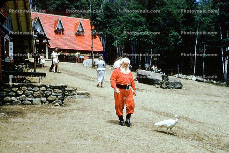 Santa Claus takes a break, red roof building, trees, white peacock bird, boots, belt, Santa's Workshop, North Pole, Adirondack Mountains, 1953, 1950s