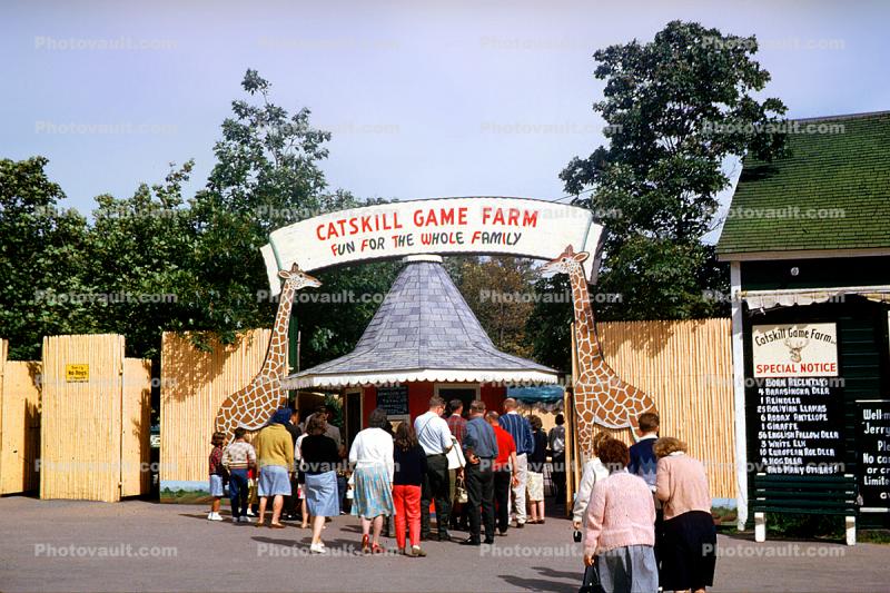 Catskill Game Farm, Entrance, Giraffes, September 1965, 1960s