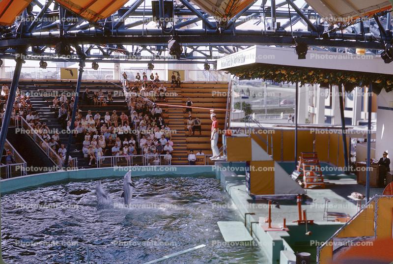 Fabulous Florida Porpoise Show, Pool