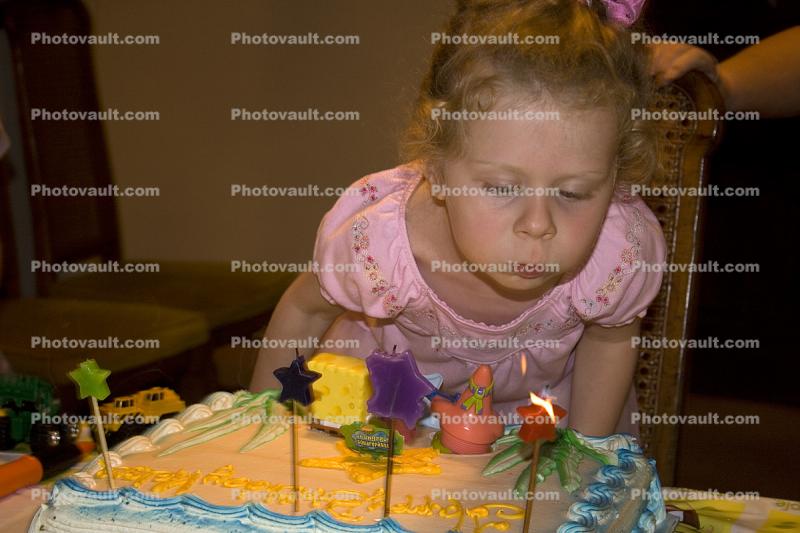 Little girls third Birthday Party