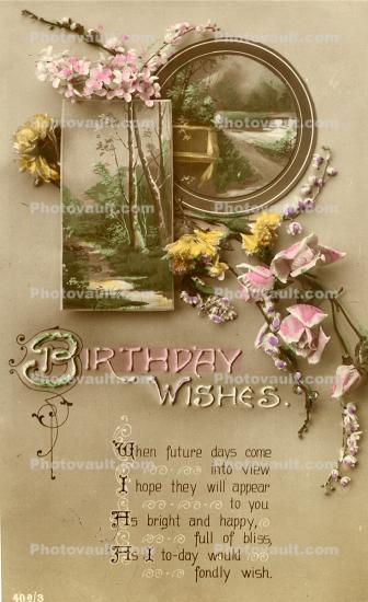 Birthday Wishes, Flowers, RPPC, 1910