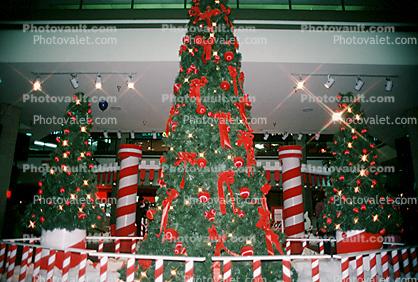 candy cane, Tree, Decorated, Decorations, presents, shopping mall