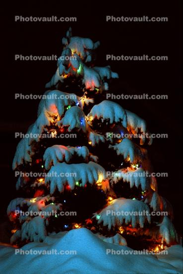 Christmas Tree in the Snow, cold, ice, night, nighttime