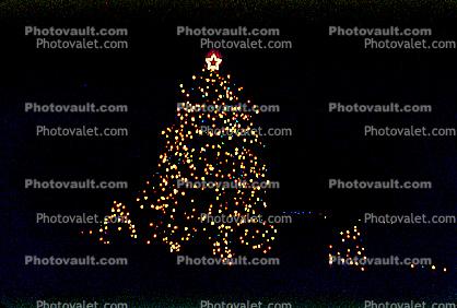 Christmas Tree Lights, decorated, decorations, outdoors, night, nighttime