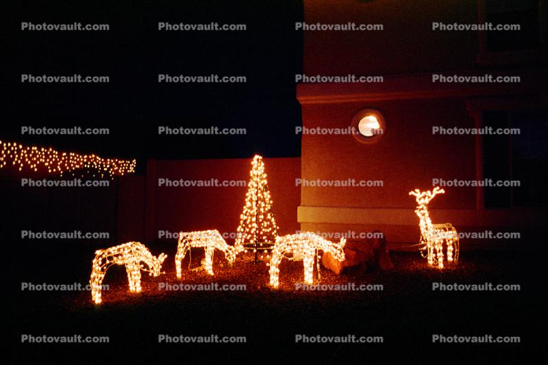Christmas Lights, deer, tree