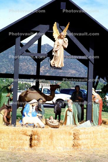 Nativity Scene, Angel, manger, Baby Jesus, crib, lamb, Mother Mary, camels, hay, Three Wisemen