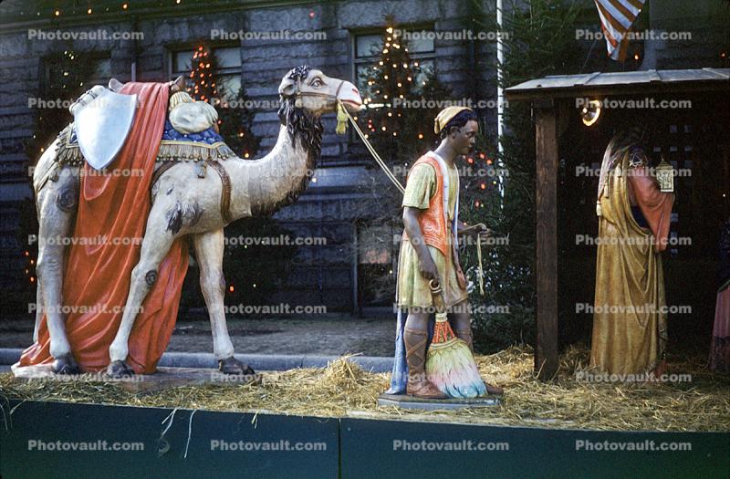 Nativity Scene, Camel, wisemen